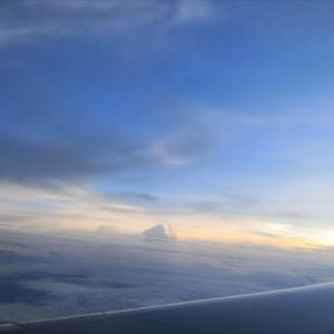 欧美另类性爱第五十一页
