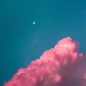 欧美另类性爱第五十一页
